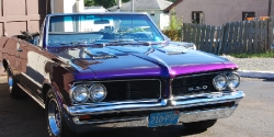 1964 GTO Preservation Detail Thumbnail