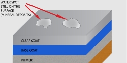 Ask-A-Pro: Removing Water Spots from the Paint thumbnail