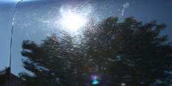 Ask-A-Pro: Should I Take My Car Through A Car Wash? post thumbnail