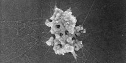 What Is “Nano” And How Does It Relate To Detailing Products? Thumbnail