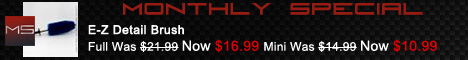 July 2010 Monthly Special E-Z Detail Brush