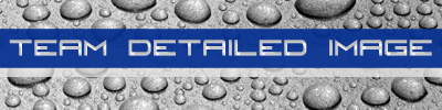 Detailed Image Logo