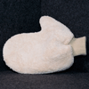 Wash Mitt
