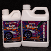 Auto Shampoo