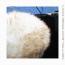 DI Accessories reTHICKulous Wool Wash Mitt