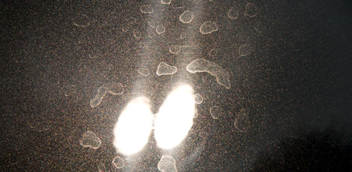 Removing Etched Water Spots and Holograms