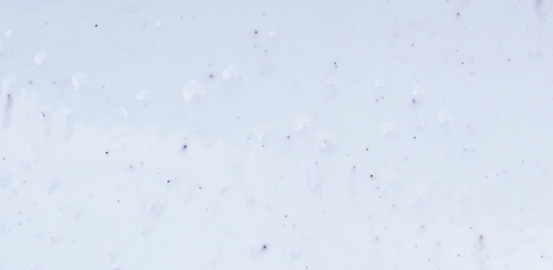 New cars and paint contamination