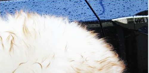 DI Holiday Gift Guide for 2012