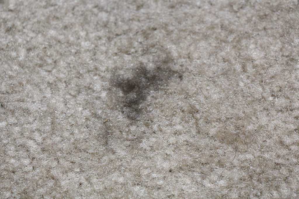 Product Review: Griot’s Garage Carpet Cleaner – Ask a Pro Blog