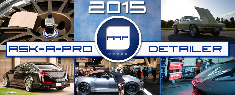 2015 AAP Ask-a-Pro Detailer Recap