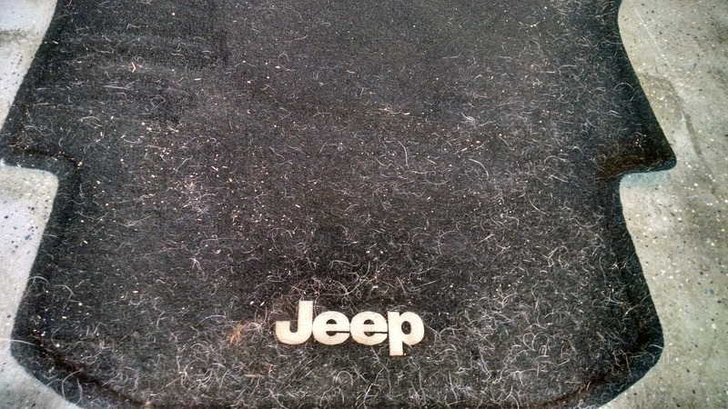 Extreme Dog Hair Removal Jeep Rubicon