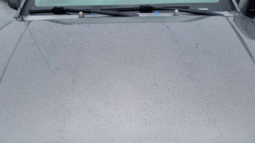 EXO v CSL v CSL w/EXO