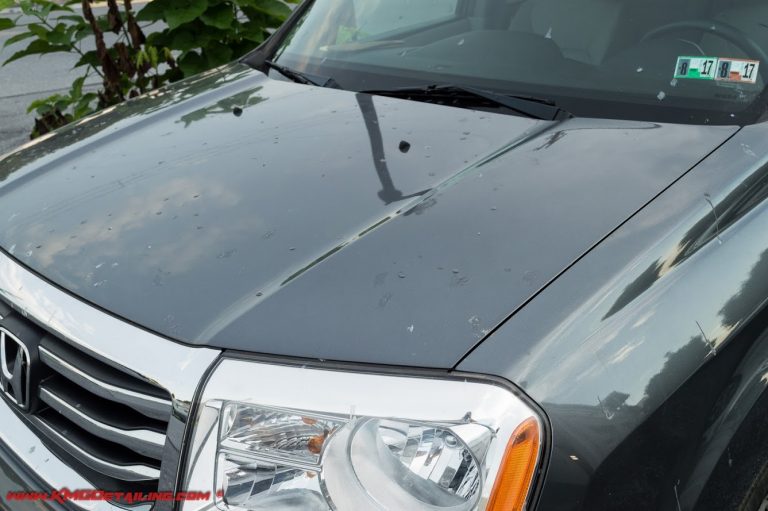 How Do I Remove Tree Sap From My Car? Ask a Pro Blog
