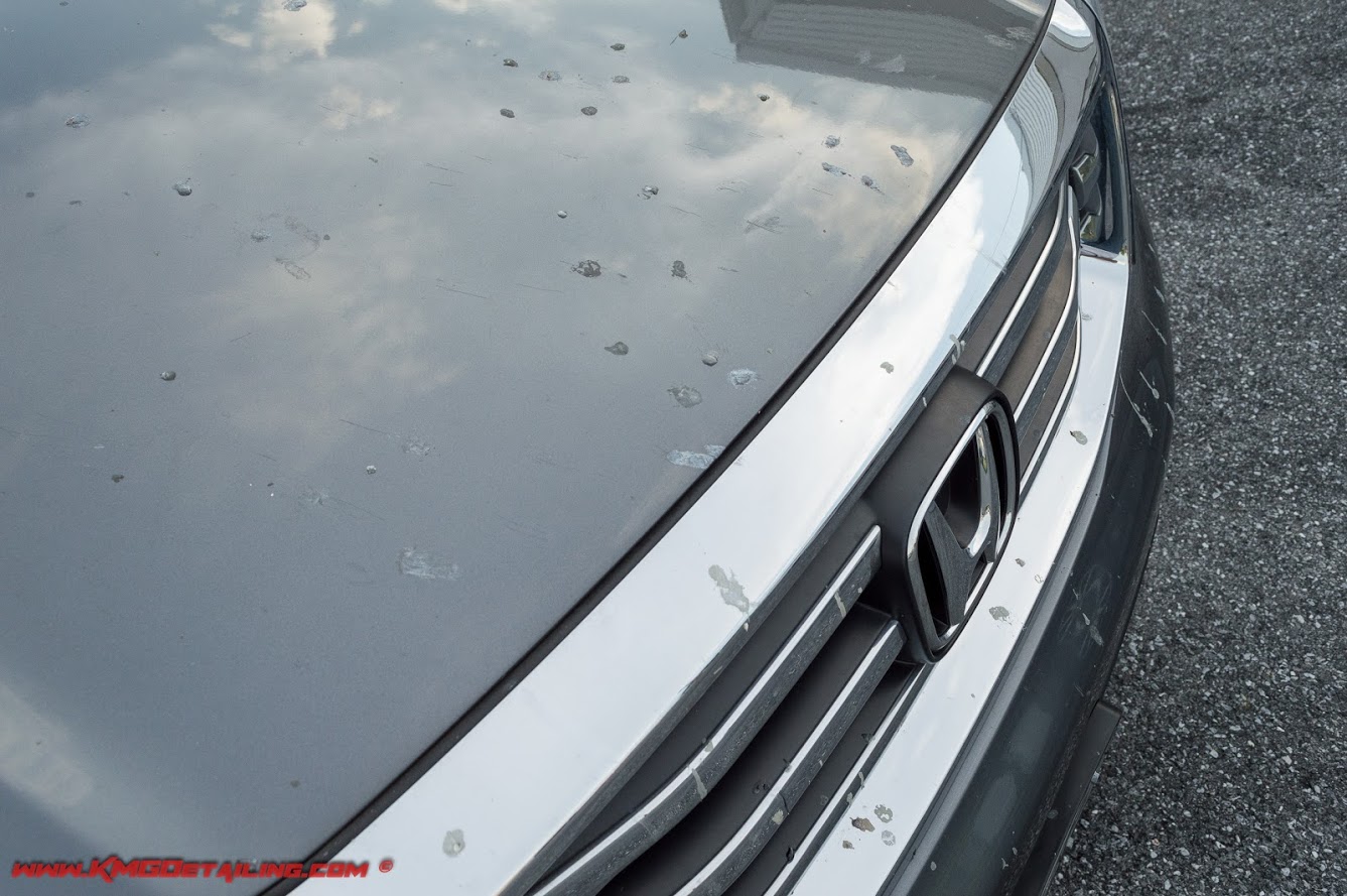 How Do I Remove Tree Sap From My Car? – Ask a Pro Blog