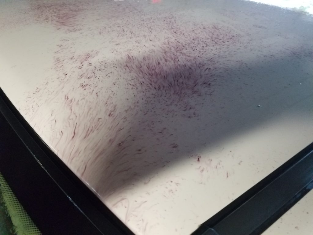Why did iron remover do this? I didn't let it dry.. thankfully everything  buffed off : r/AutoDetailing