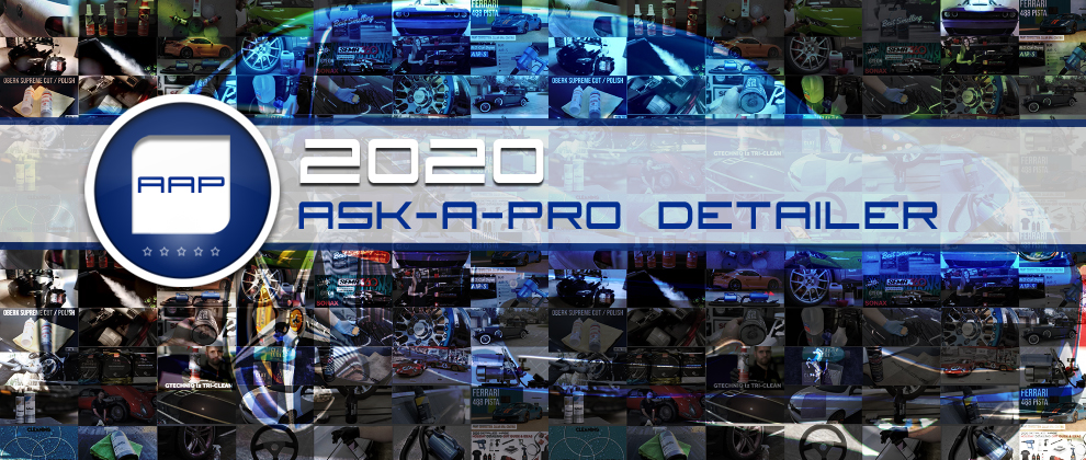2020 Ask-a-Pro Detailer Recap