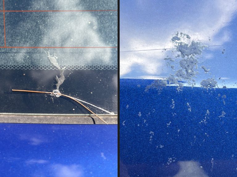 Ask DI How to Remove Sap from Car Ask a Pro Blog