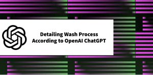 Detailing Wash Process According to ChatGPT