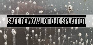 Safe Removal of Bug Splatter
