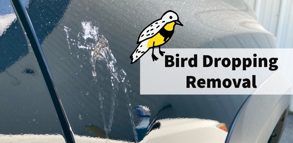 Bird Dropping Removal