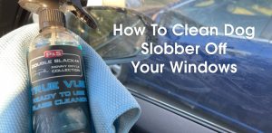 How to Clean Dog Slobber and Nose Prints Off Your Window