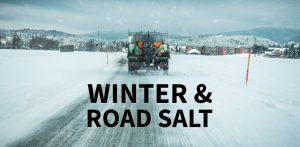 Winter and Road Salt