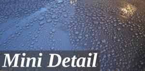 Quick and Easy Mini Detail