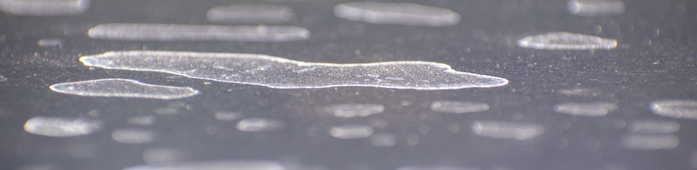 Water Marks in Paint