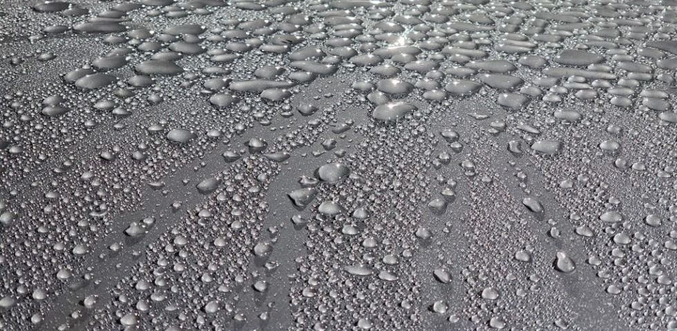 Expanding The Consumer's Perception Of Detailing