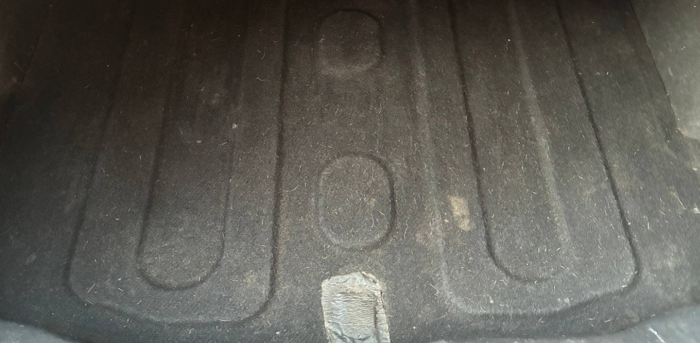 trunk carpet after cleaning