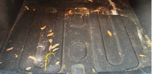 trunk carpets before