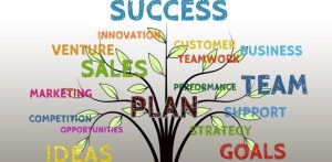 Company Struggles And Lessons I Took Or Experienced