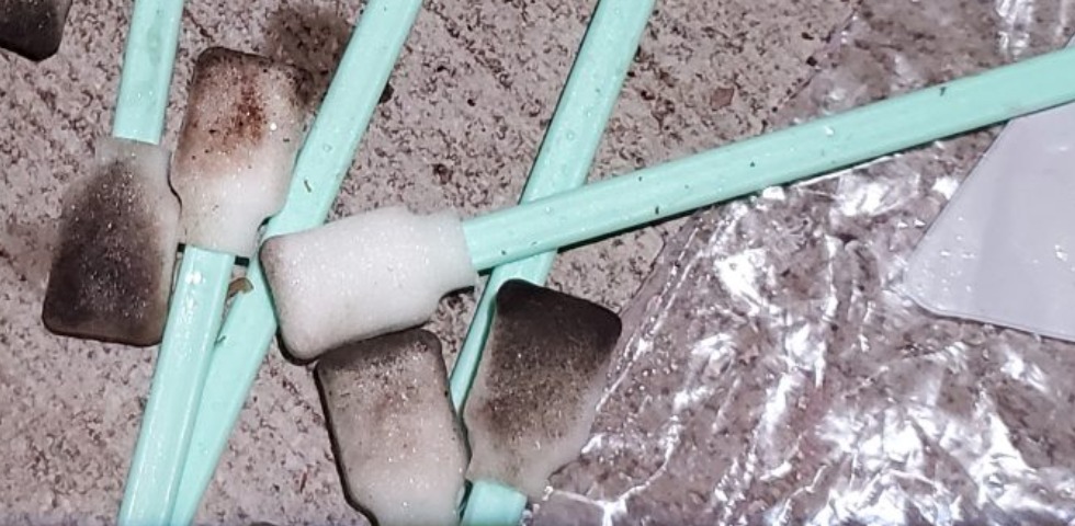 Detailing Foam Swabs – Get The Variety Pack