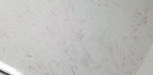 Iron Remover Comparisons