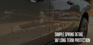 Simple Spring Detail with Long-Term Protection