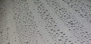 What Is Paint Protection