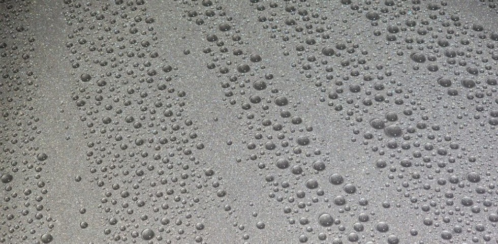 What Is Paint Protection