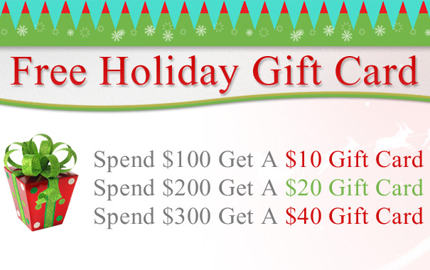 Free Holiday Gift Card Free Holiday Gift Card