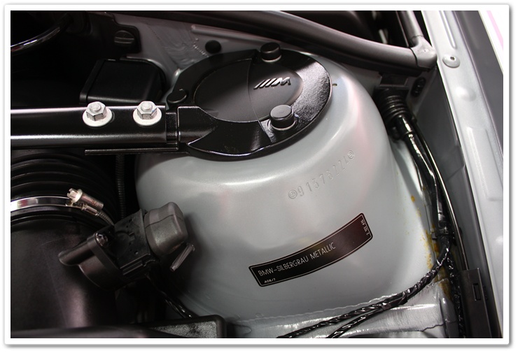 2005 BMW M3 engine bay detailed by Esoteric Auto Detail