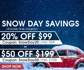 Snow Day Savings