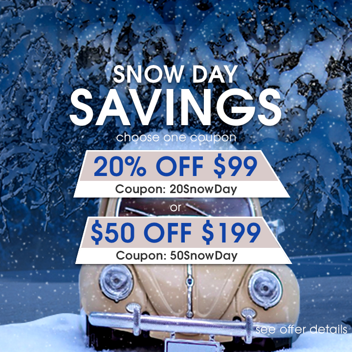 Snow Day Savings - Choose One Coupon - 20% Off $99 Coupon 20SnowDay or  $50 Off $199 Coupon 50SnowDay - see offer details