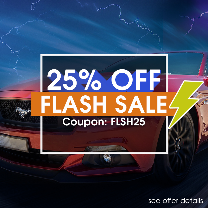 25% Off Flash Sale - Coupon FLSH25 - see offer details