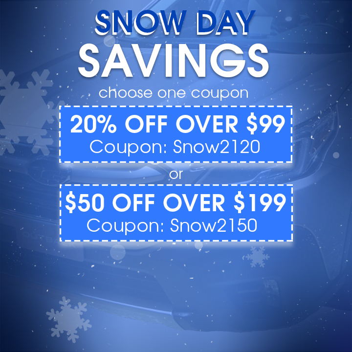 Snow Day Savings - Choose One Coupon - 20% Off Over $99 Coupon Snow2120 or $50 Off Over $199 Coupon Snow2150