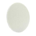 Lake Country Glass Polishing Disc