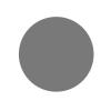 Rupes Wet Finish Foam Abrasive Discs P3000 20 pack - 5"