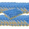 Autofiber Zero Cuff Noodle Wash Mitt Blue & Gold BULK 25x